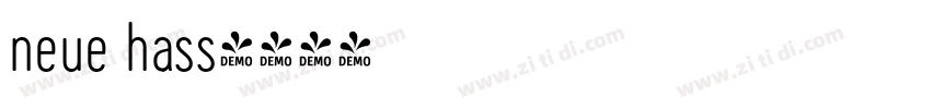 neue hass字体转换